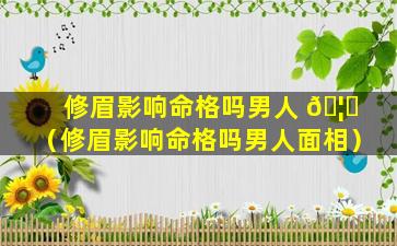 修眉影响命格吗男人 🦍 （修眉影响命格吗男人面相）